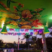 ceiling art
 at Lola Taqueria in Palm Beach
