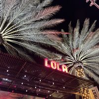   at Lola Taqueria in Palm Beach