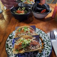   at Lola Taqueria in Palm Beach