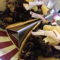 Roasted Brussel Sprout Tacos at Lola Taqueria in Palm Beach