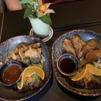 Fried dumplings and spring rolls  at Soy in Munich