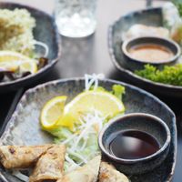 Spring rolls  at Soy in Munich