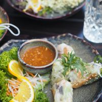 Summer Rolls with Peanut Dip at Soy in Munich