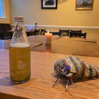 Baba's Bucha, local kombucha at Gryphon Cafe in Wayne
