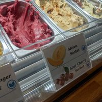  at Gianni in Dubrovnik