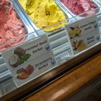  at Gianni in Dubrovnik