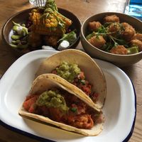 Mexican spiced jackfruit soft tacos, sweetcorn vings, sesame crusted tofu at The Drawing Board in Leamington Spa
