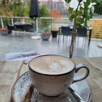  at Café Manggha in Krakow