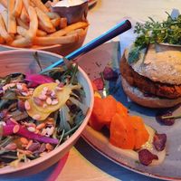 Quinoa burger with fries and salad at Eeterij-spelerij Vierlinden in Goes