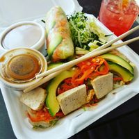 raw spring rolls and tofu salad at Loving Cafe in Fort Wayne