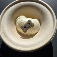 Pup cup at Idyllwild Ice Cream & Jerky in Idyllwild