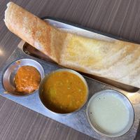 masala dosa  at San Idli Vegetarian Cuisine in San Diego