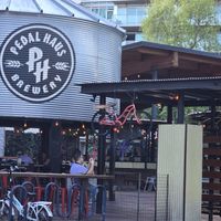  at Pedal Haus Brewery in Tempe