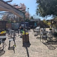 Rear patio at Messob Ethiopian Cuisine in Victoria