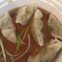 Vegan 🌱 Dumplings 🥟  at Lucky Pickle Dumpling Co in New York City