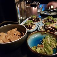  at Llama in Copenhagen