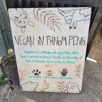  at Sacred Lotus Cafe in Phnom Penh