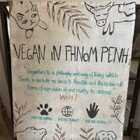 ❤️  at Sacred Lotus Cafe in Phnom Penh