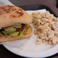 Vegan cheese burger and tuna pasta at NuVegan in Washington