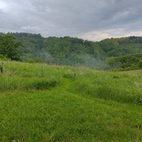  at Barabrith in Donji Budacki