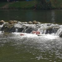  at Barabrith in Donji Budacki