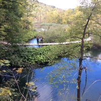 The National park in the region at Barabrith in Donji Budacki