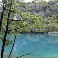 The National park in the region at Barabrith in Donji Budacki