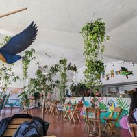  at Tropical Kitchen Cabo in Cabo San Lucas