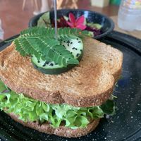   at Tropical Kitchen Cabo in Cabo San Lucas