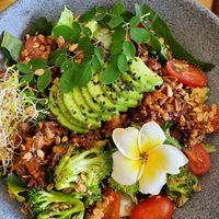 Vegan Pulled Pork bowl - soooo wow!!!!! at Tropical Kitchen Cabo in Cabo San Lucas