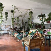  at Tropical Kitchen Cabo in Cabo San Lucas