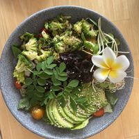 Bowl w Hibiscus Flower Pastor 🌺  at Tropical Kitchen Cabo in Cabo San Lucas