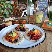 Dinner Menu - Vegan Taco Trio and Cucumber Aqua Fresca at Tropical Kitchen Cabo in Cabo San Lucas