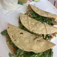   at Dolores in Berlin