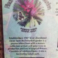 Peter sells his organic produce from his long established farm. If you would like to take tours, his farm has them. at Farmers' Market in Puerto Viejo De Talamanca