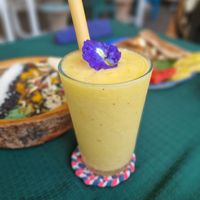  at Free Bird Cafe in Chiang Mai