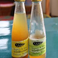 Kombucha.  at Free Bird Cafe in Chiang Mai