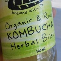 kombucha! at Free Bird Cafe in Chiang Mai