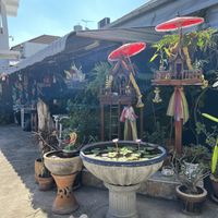 Outside cafe  #Veganuary at Free Bird Cafe in Chiang Mai