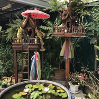   at Free Bird Cafe in Chiang Mai