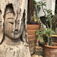   at Free Bird Cafe in Chiang Mai