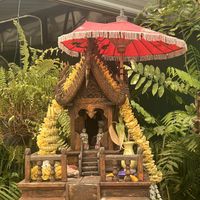   at Free Bird Cafe in Chiang Mai