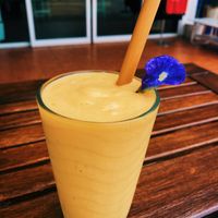   at Free Bird Cafe in Chiang Mai