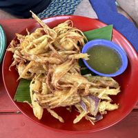   at Free Bird Cafe in Chiang Mai