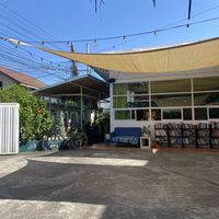   at Free Bird Cafe in Chiang Mai