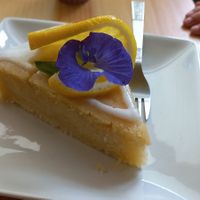 Lemon drizzle cake at Free Bird Cafe in Chiang Mai