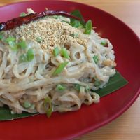 Shan spicy peanut butter noodles at Free Bird Cafe in Chiang Mai