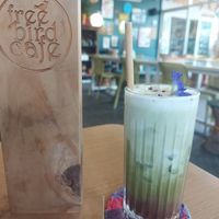 Muddy mint matcha at Free Bird Cafe in Chiang Mai