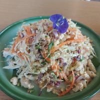 Creamy tofu salad at Free Bird Cafe in Chiang Mai