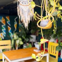   at Free Bird Cafe in Chiang Mai